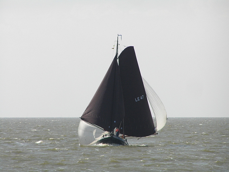 Lemsteraak_Ahoy2008 (47).jpg